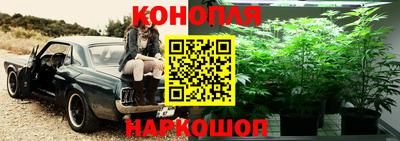 метадон Рязань