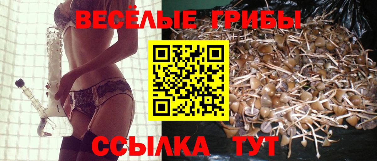 Галлюциногенные грибы ЛСД Дальнегорск
