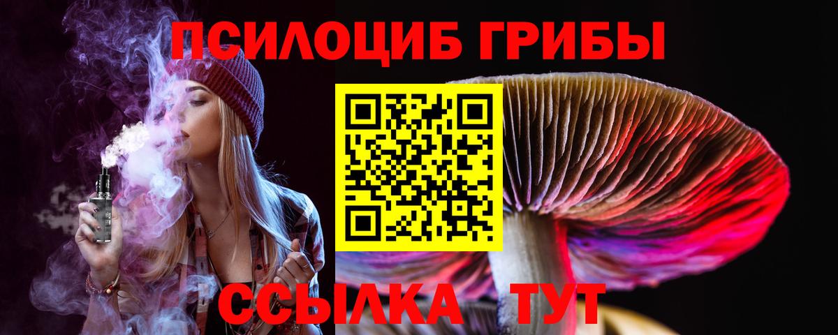 Галлюциногенные грибы мицелий  Вход с VPN  Псилоцибиновые грибы ЛСД  Дальнегорск 